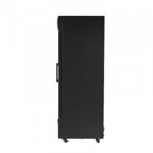 Vitrine à Boissons Réfrigérée - 2 Portes -  736 L avec Canopy